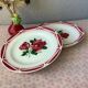 Assiettes Digoin Cibon Ironstone décor floral