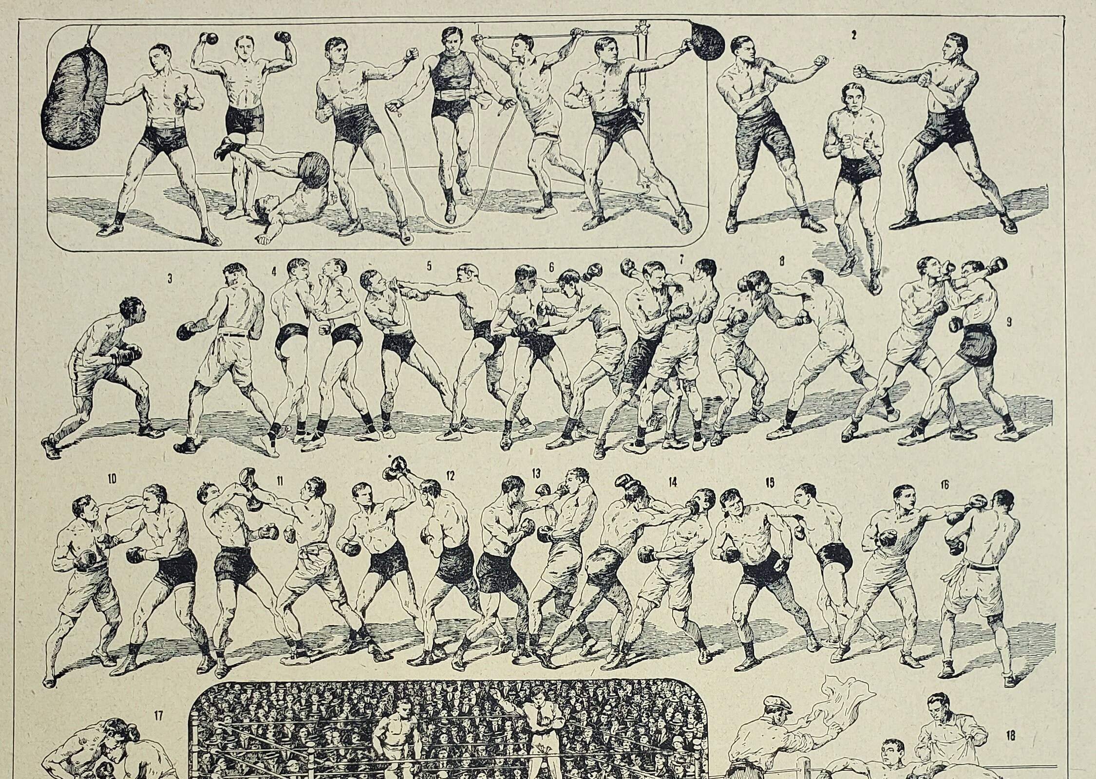 Old engraving 1928, Boxing, combat, technique, training • Lithograph, Original plate
