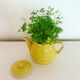 Rio yellow vintage teapot