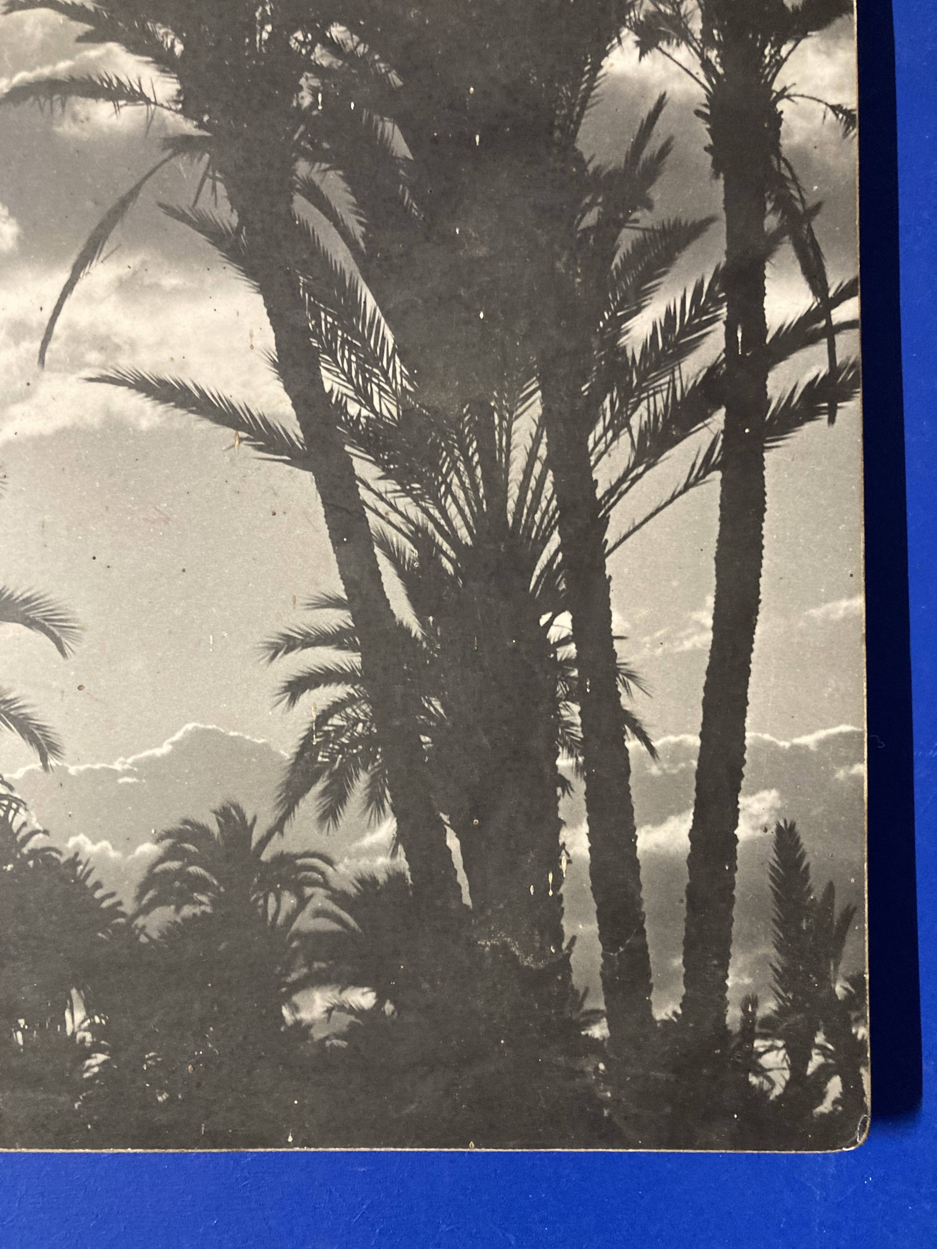 Photographie vintage sur panneau