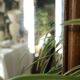 Vintage bamboo wall mirror 50's