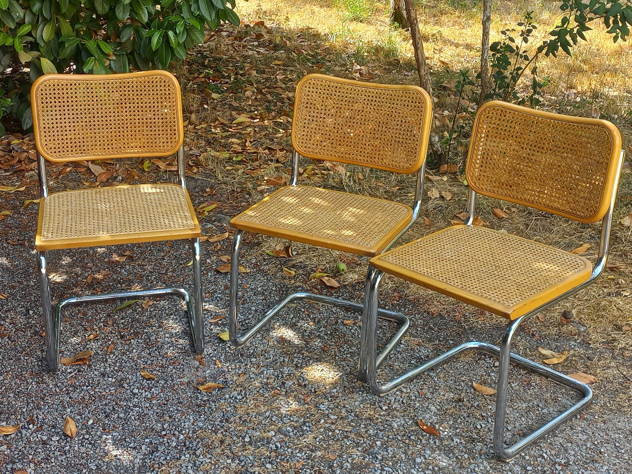 Set of 3 Cesca B32 chairs by Marcel Breuer
