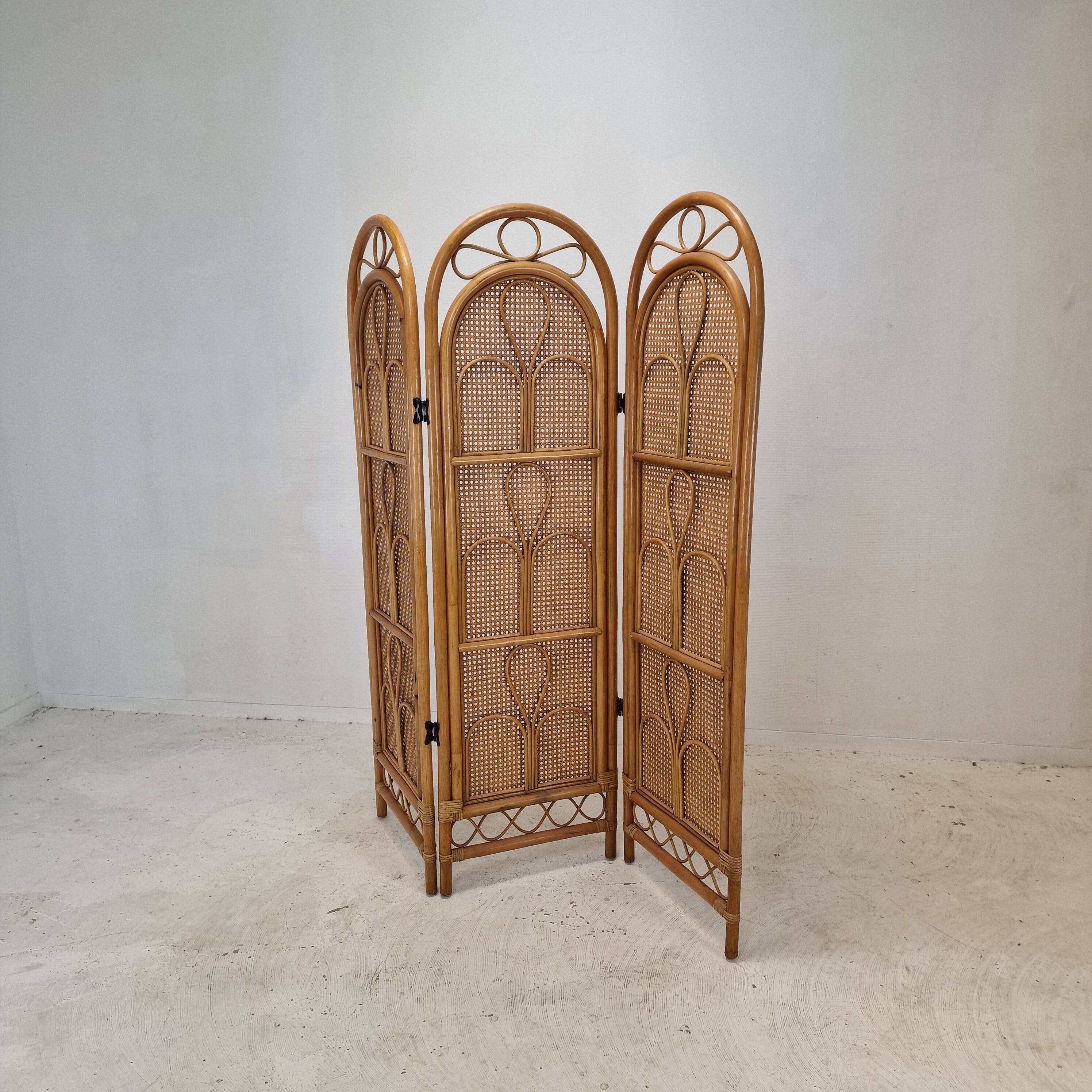Italian Room Divider in Rattan and Wicker, 1960s