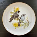 Limited edition bird plate