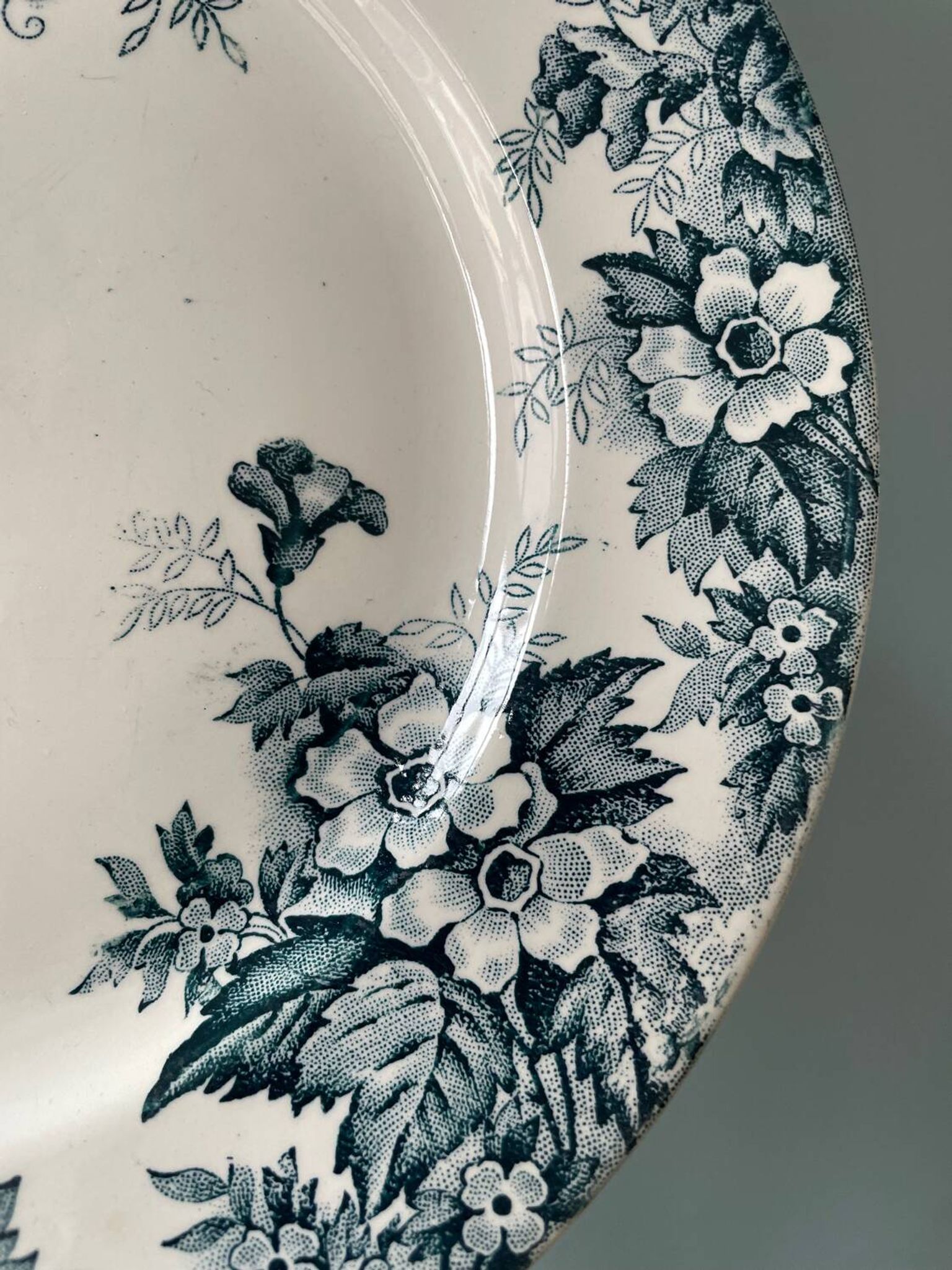 Series of 9 flat plates Terre de Fer “Marie-Louise” St Amand and Hamage