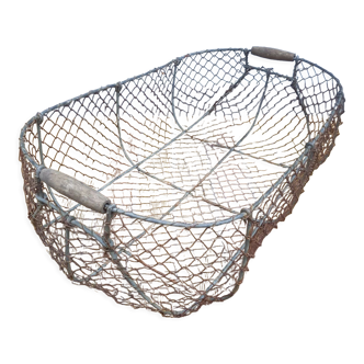 Large shell basket
