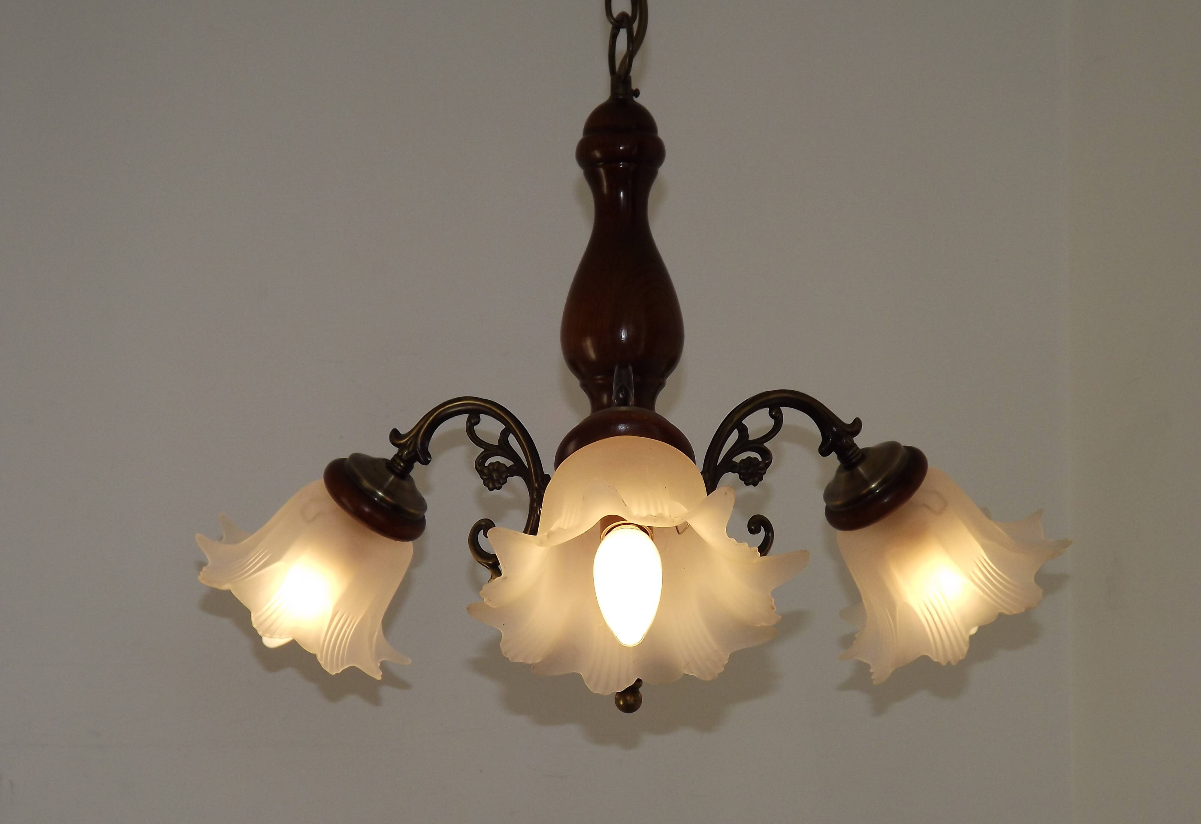 French Mid-Century 3-Light Wood and Bronzed Metal Chandelier with Glass Shades