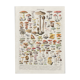 Old illustration Millot "Mushrooms"