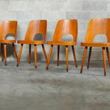 Suite of 4 chairs 515 by Oswald Haerdtl for TON