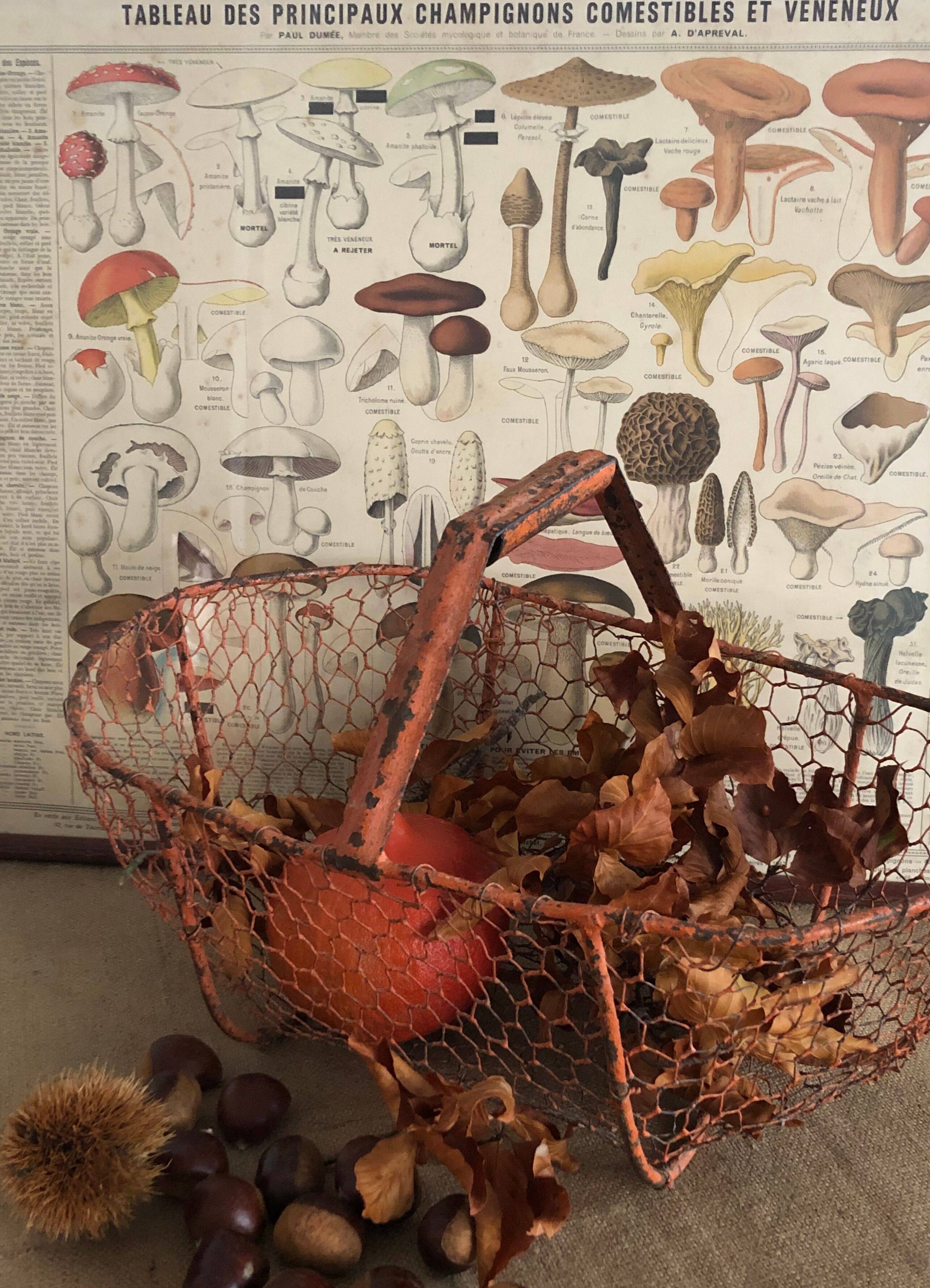 Garden mesh basket or log basket