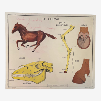 School poster The Horse and the Rabbit Montmorillon Rossignol
