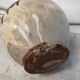 Brissard's bonne in glazed earth