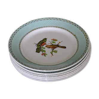 Lot de 6 assiettes"oiseaux"