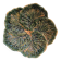 Vallauris cabbage dish