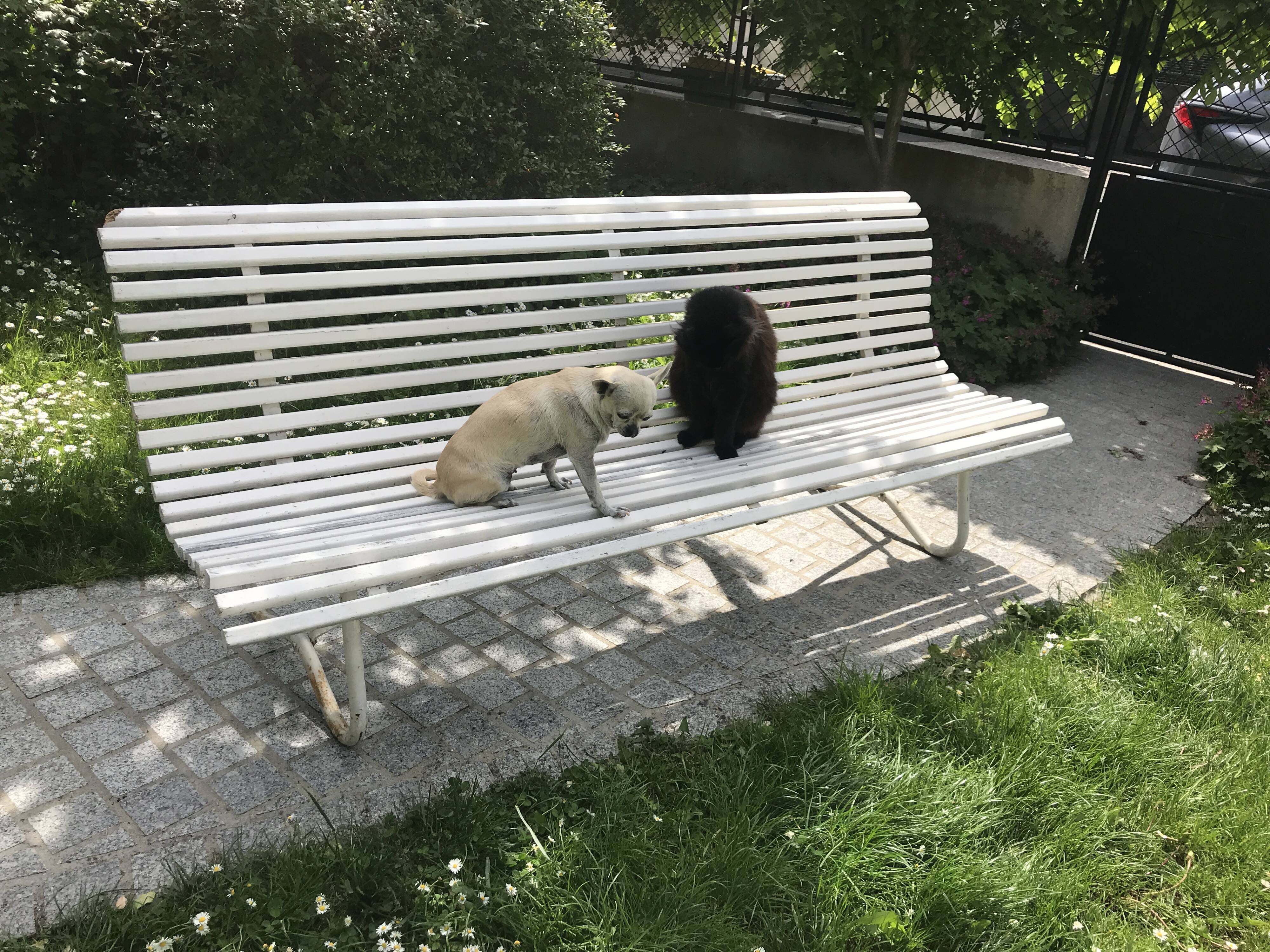 White metal Garden Bench and wooden slats 1970
