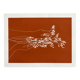 Poster Cotton Bird