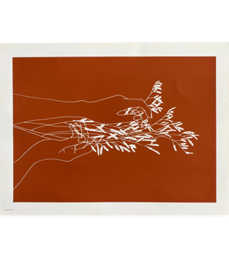 Poster Cotton Bird