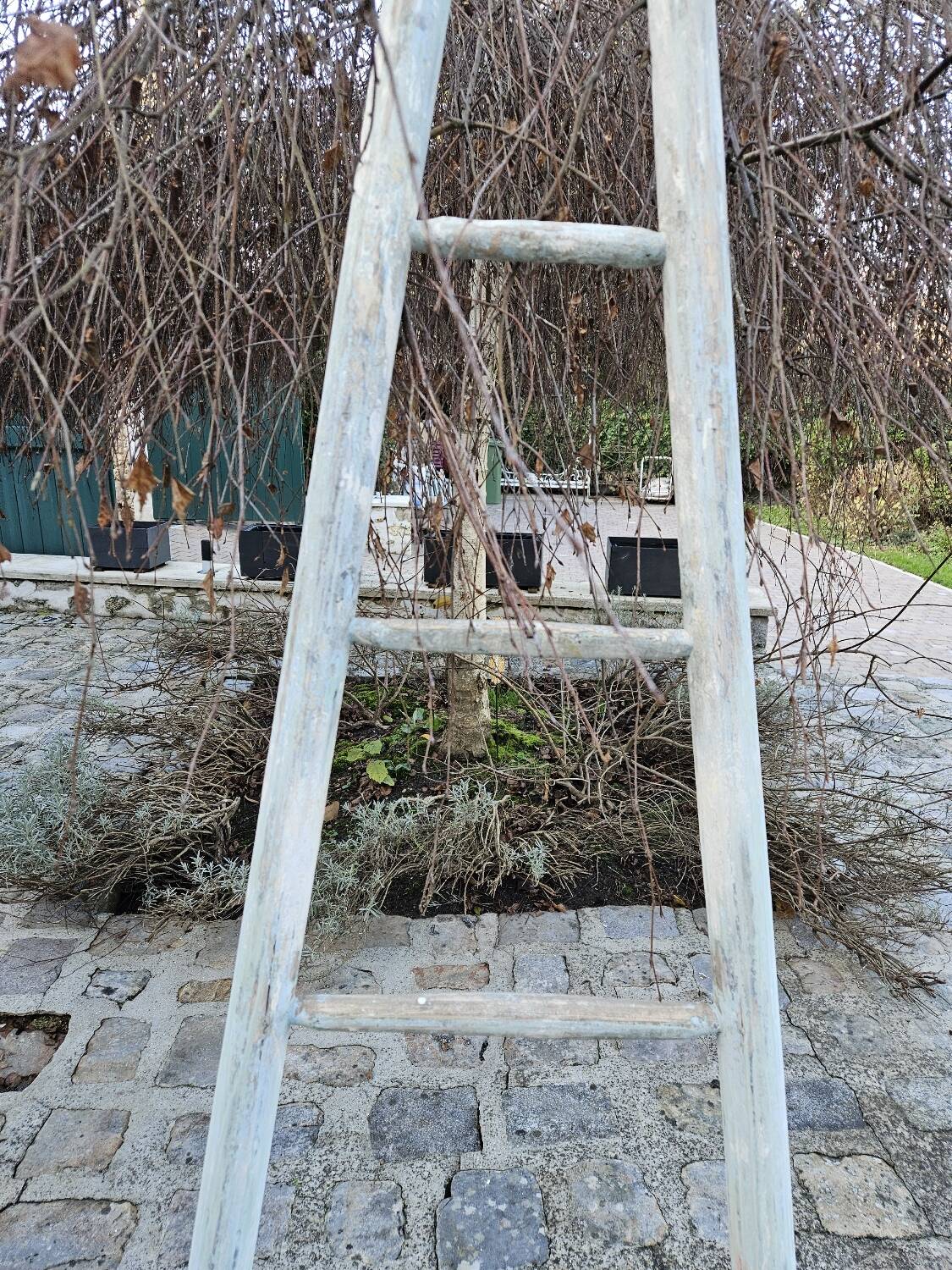 Wooden picking ladder