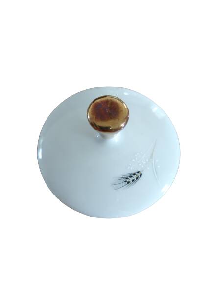 Bavaria Winterling teapot + sugar bowl