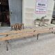 Pair of rustic oak and fir farmhouse benches 1900s - 3m85