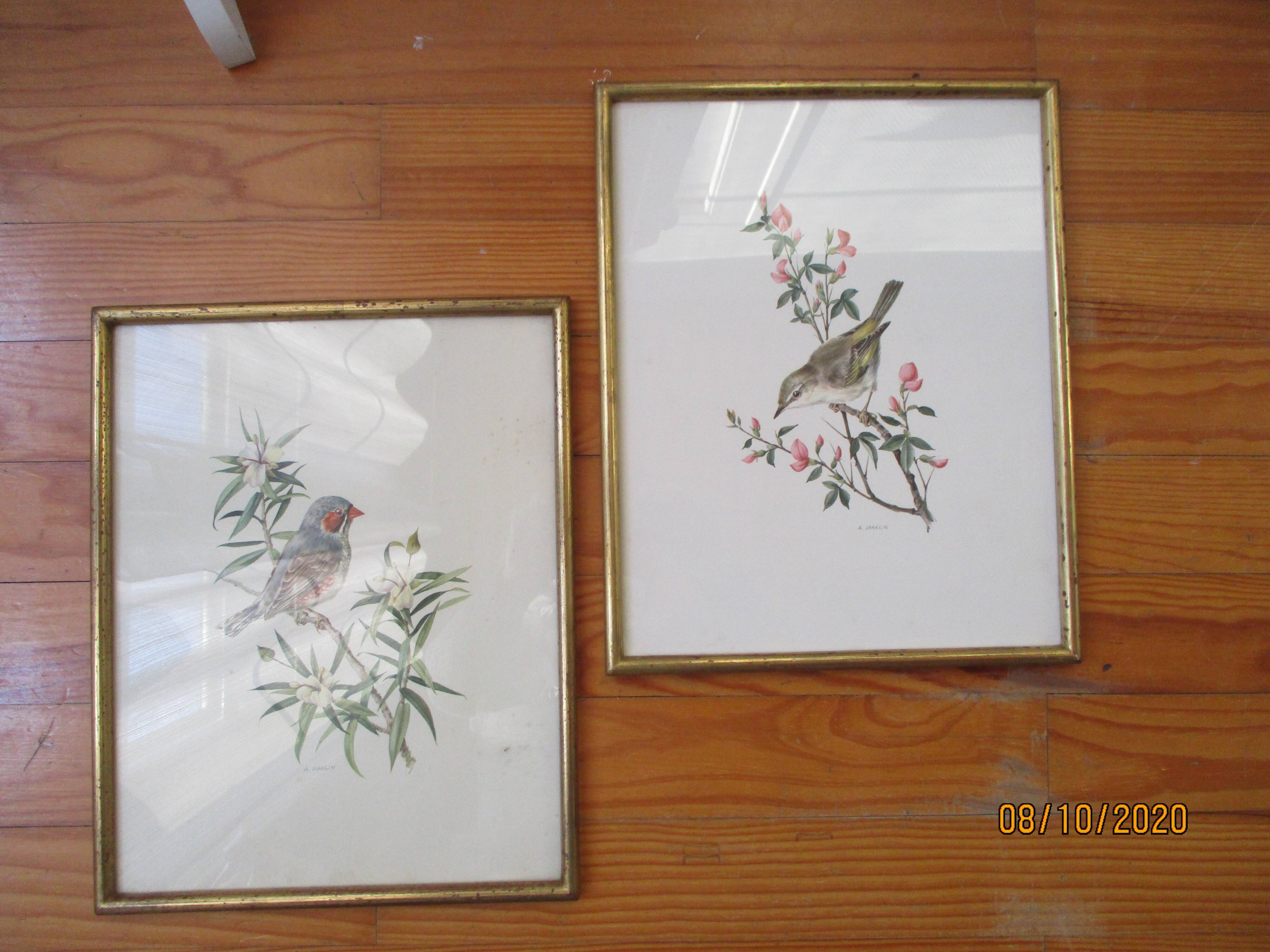 Bird lithographs by Marlin 1950