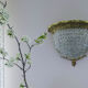 Brass flower wall light