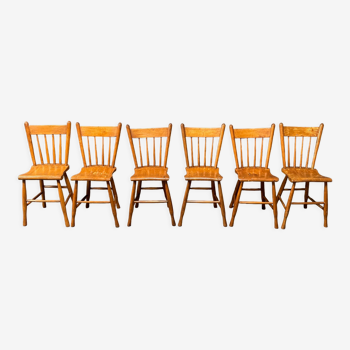 Ensemble de six chaises de cuisine en bois hollandais couleur miel