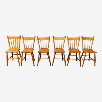 Set of six honey colored Dutch wooden kitchen chairs