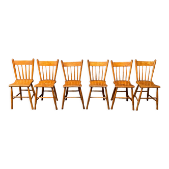 Set of six honey colored Dutch wooden kitchen chairs