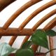 Woven rattan and bent bamboo arched bookcase display high wall cabinet.