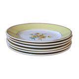 6 assiettes anciennes Digoin & Sarreguemines