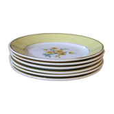 6 old plates Digoin & Sarreguemines