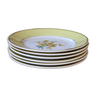 6 old plates Digoin & Sarreguemines