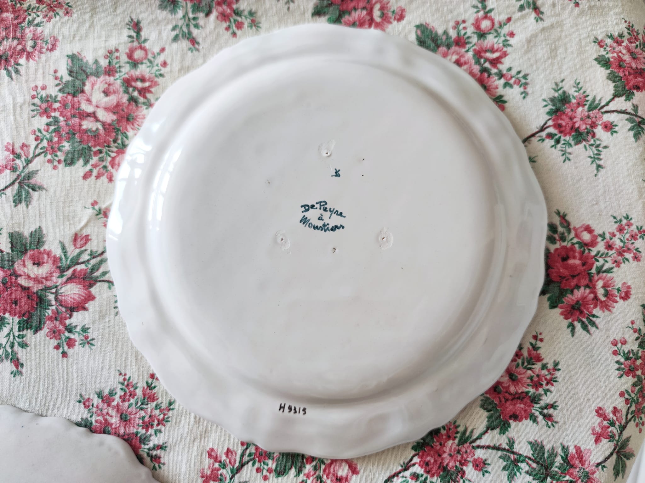 Plate DePeyre in Moustiers