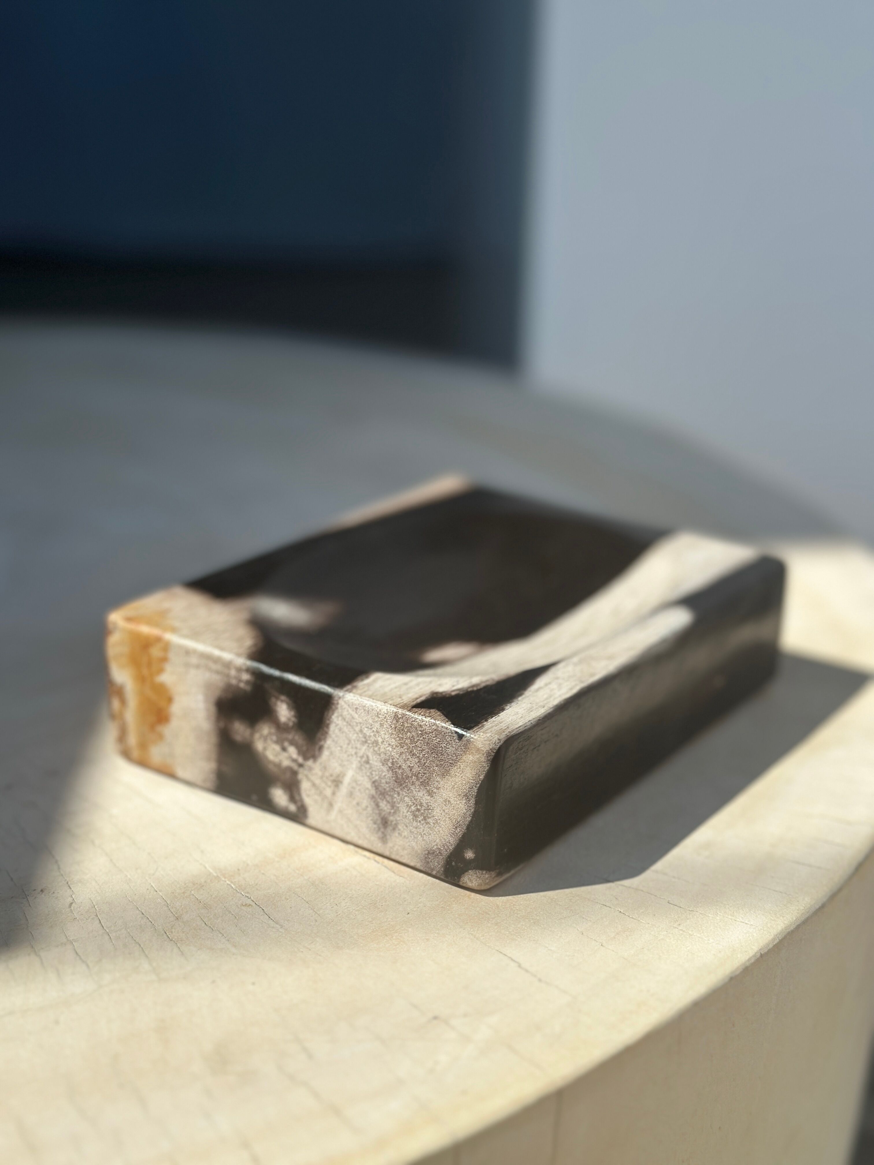 Symmetrical multicolored petrified wood soap dish