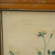 Set of 10 Rossignol posters on plants with frame