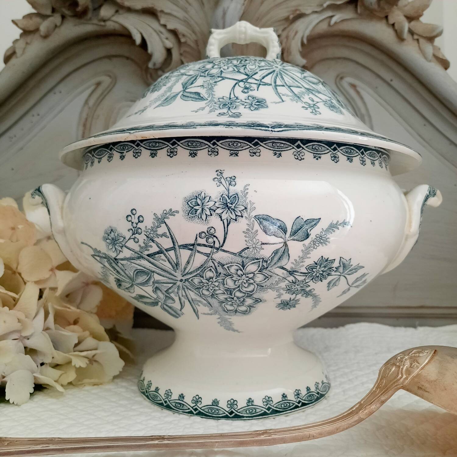 Old mismatched hollow plates in iron earth earthenware accompanied by a soup tureen