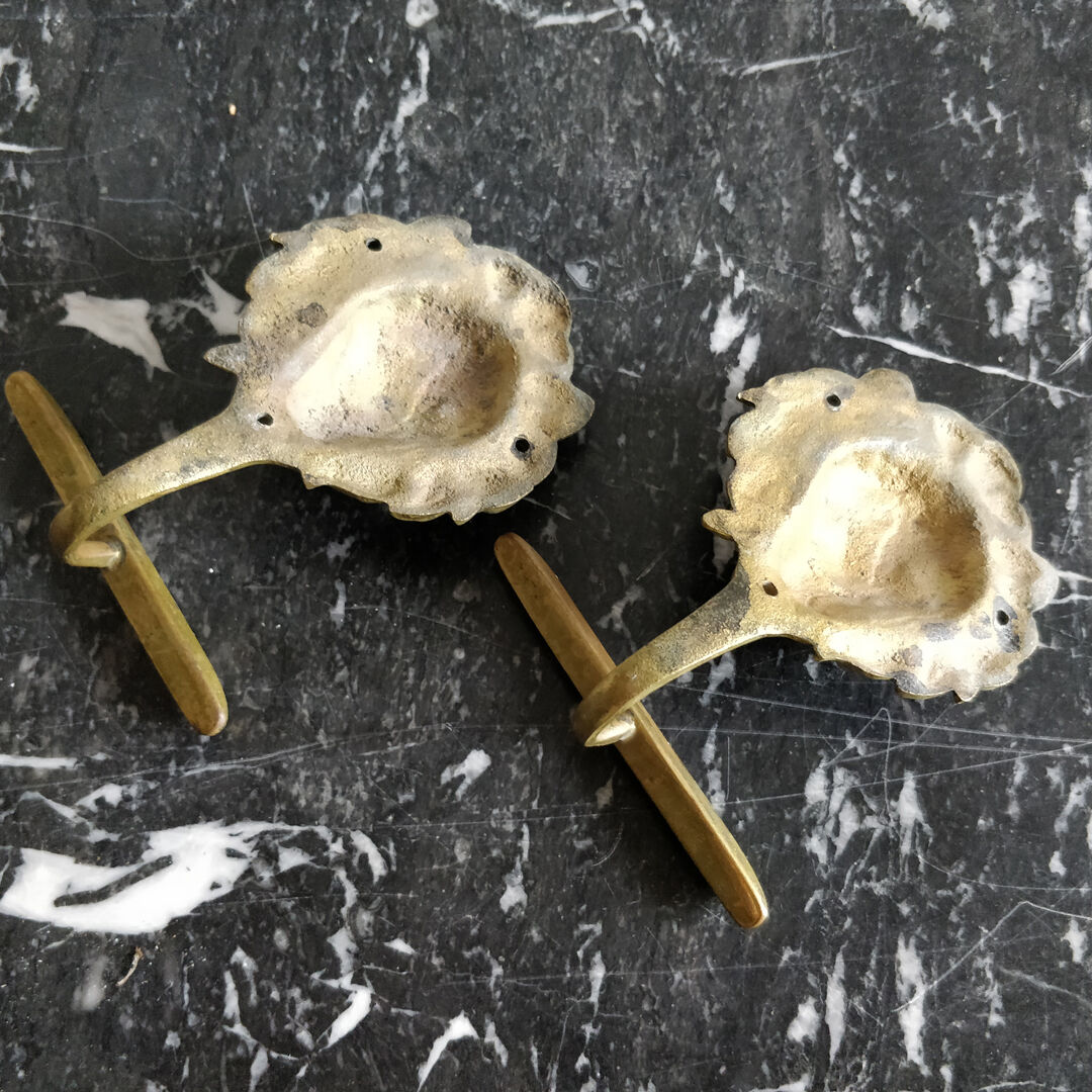 Pair of brass lion head patères