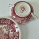 Villeroy and Boch Rusticana two-handled cup and saucer