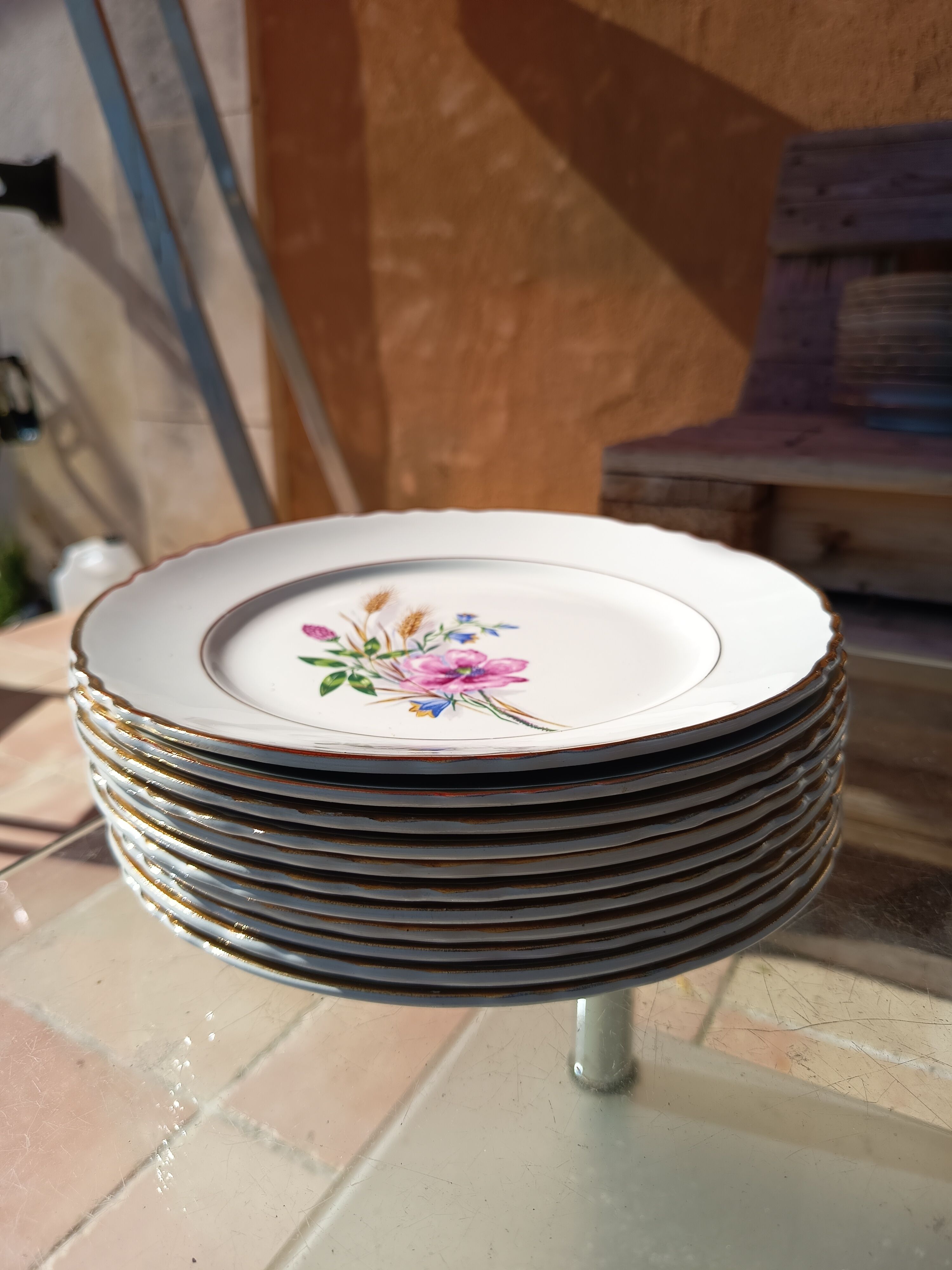 Lot de 11 assiettes fleurales champêtre