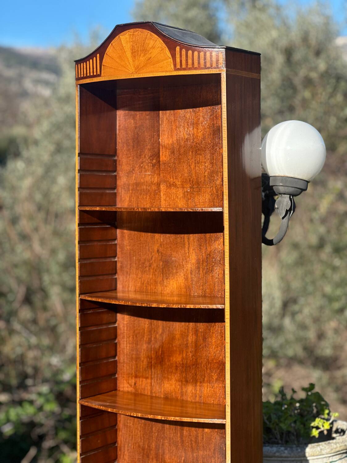 Flamed Mahogany Library in Regency style.