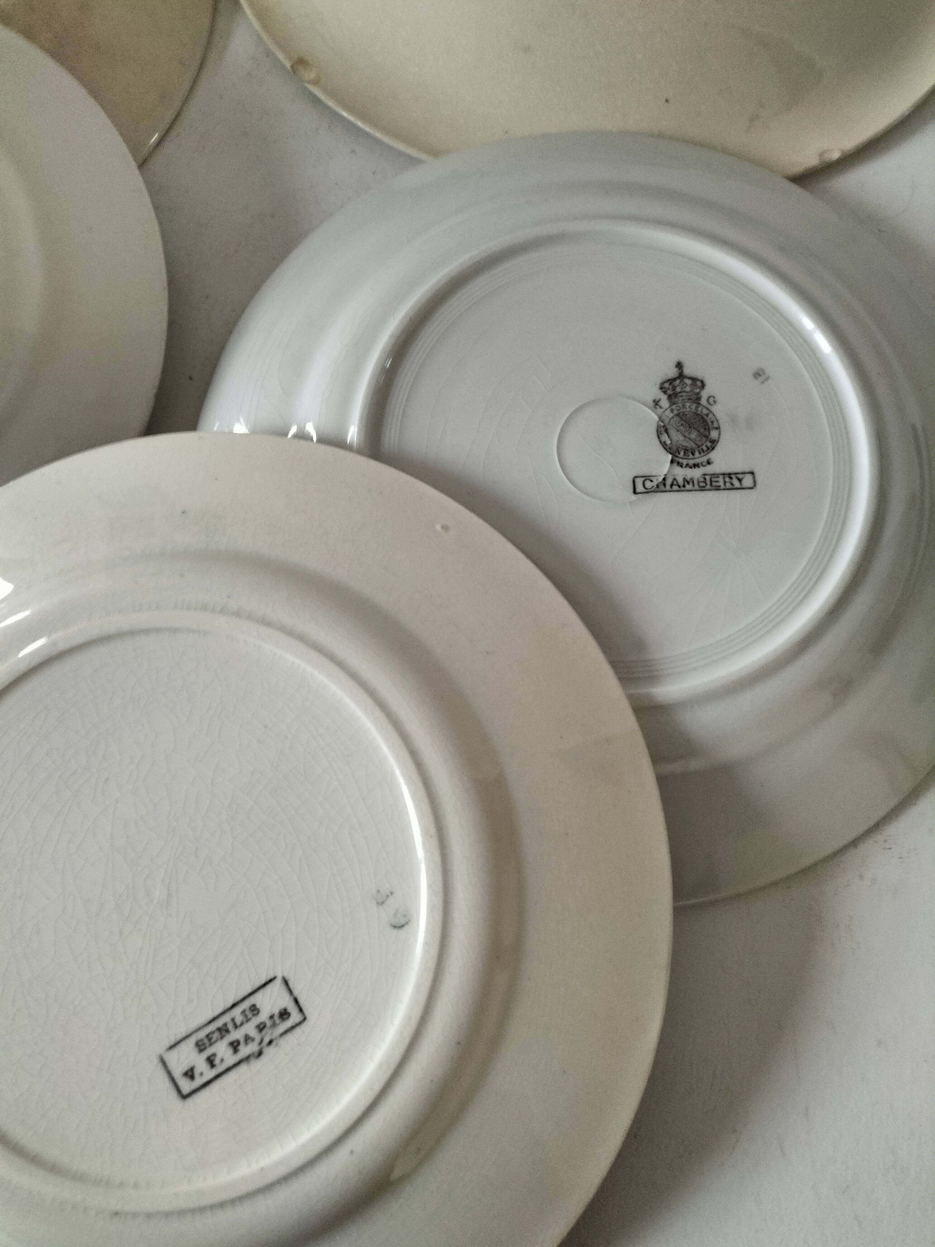 Set of 12 ironstone plates – Deep blue & red