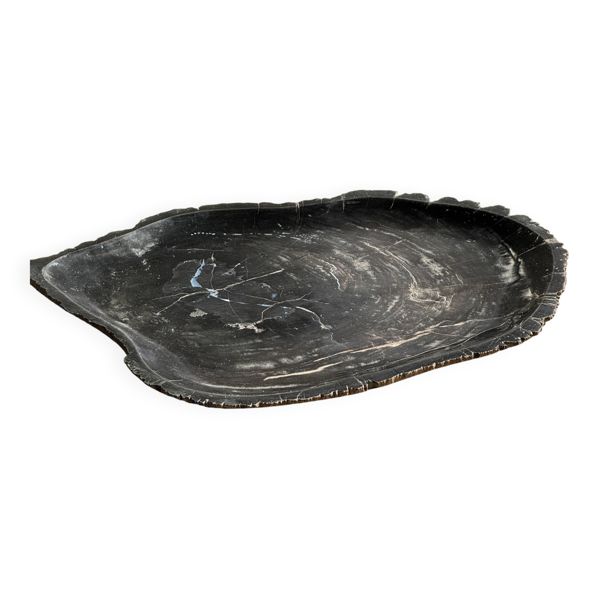 Very large black petrified wood tray or bowl D35