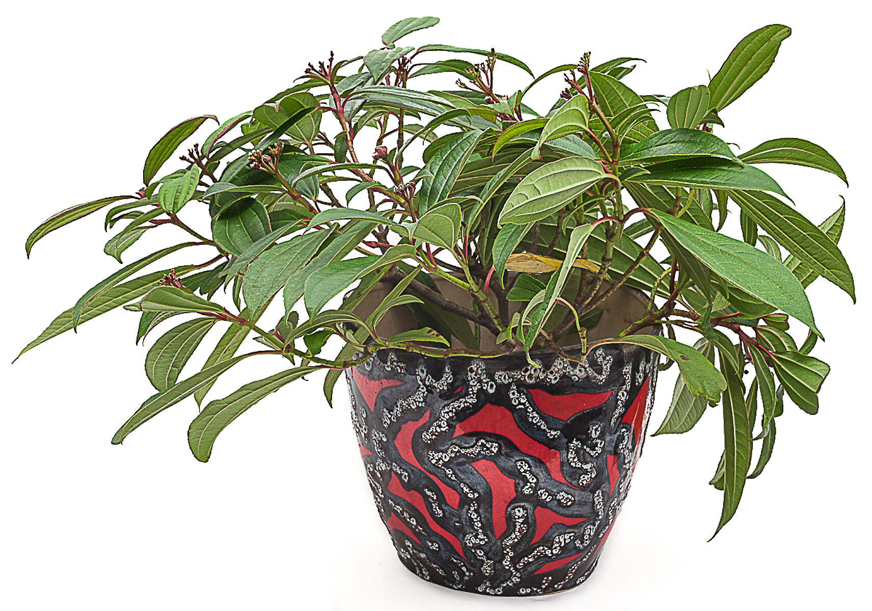 Vintage pot cover, 1960