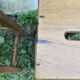 Tabouret