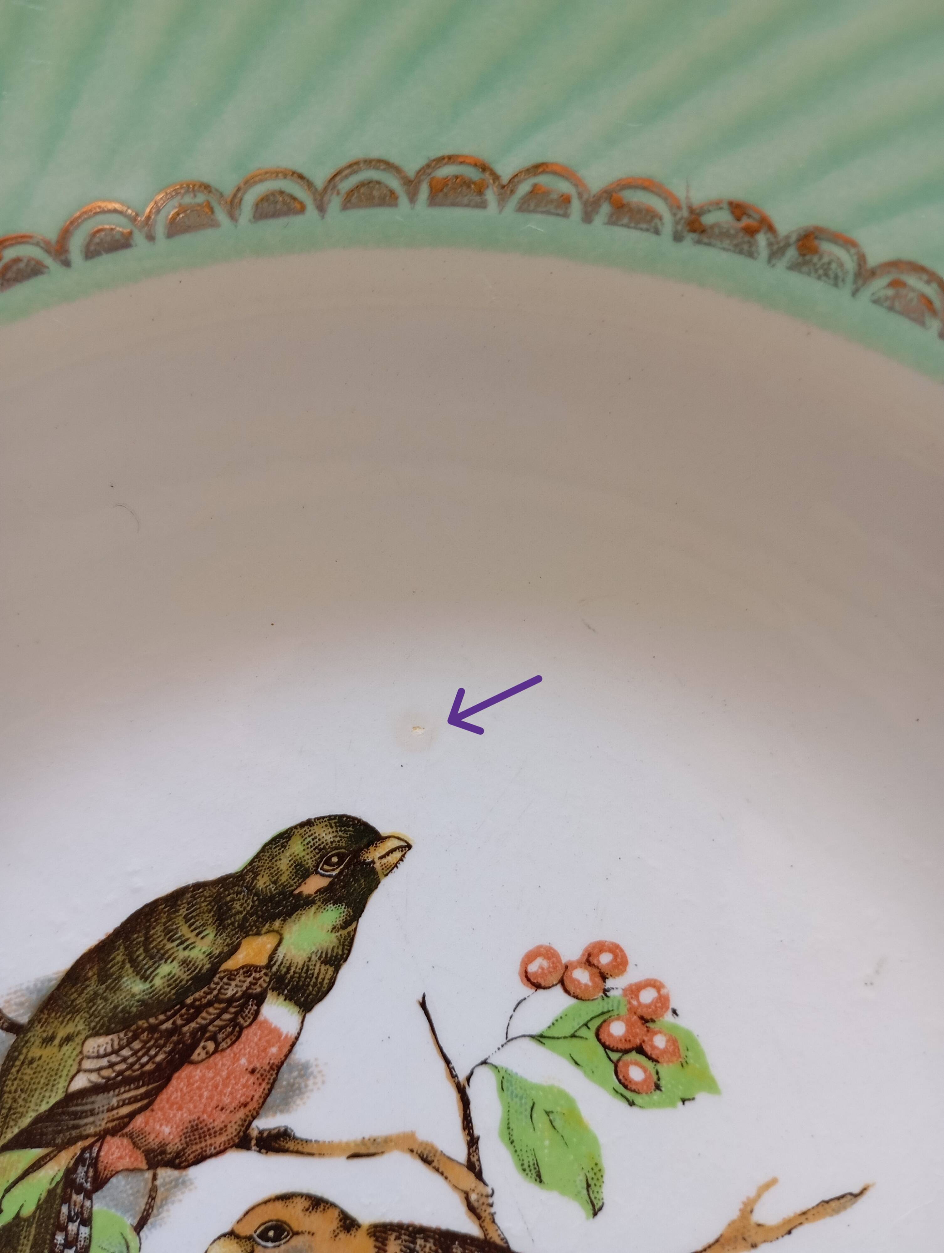 8 soup plates Fenal Badonviller "Birds" vintage 1950s