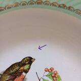 8 soup plates Fenal Badonviller "Birds" vintage 1950s