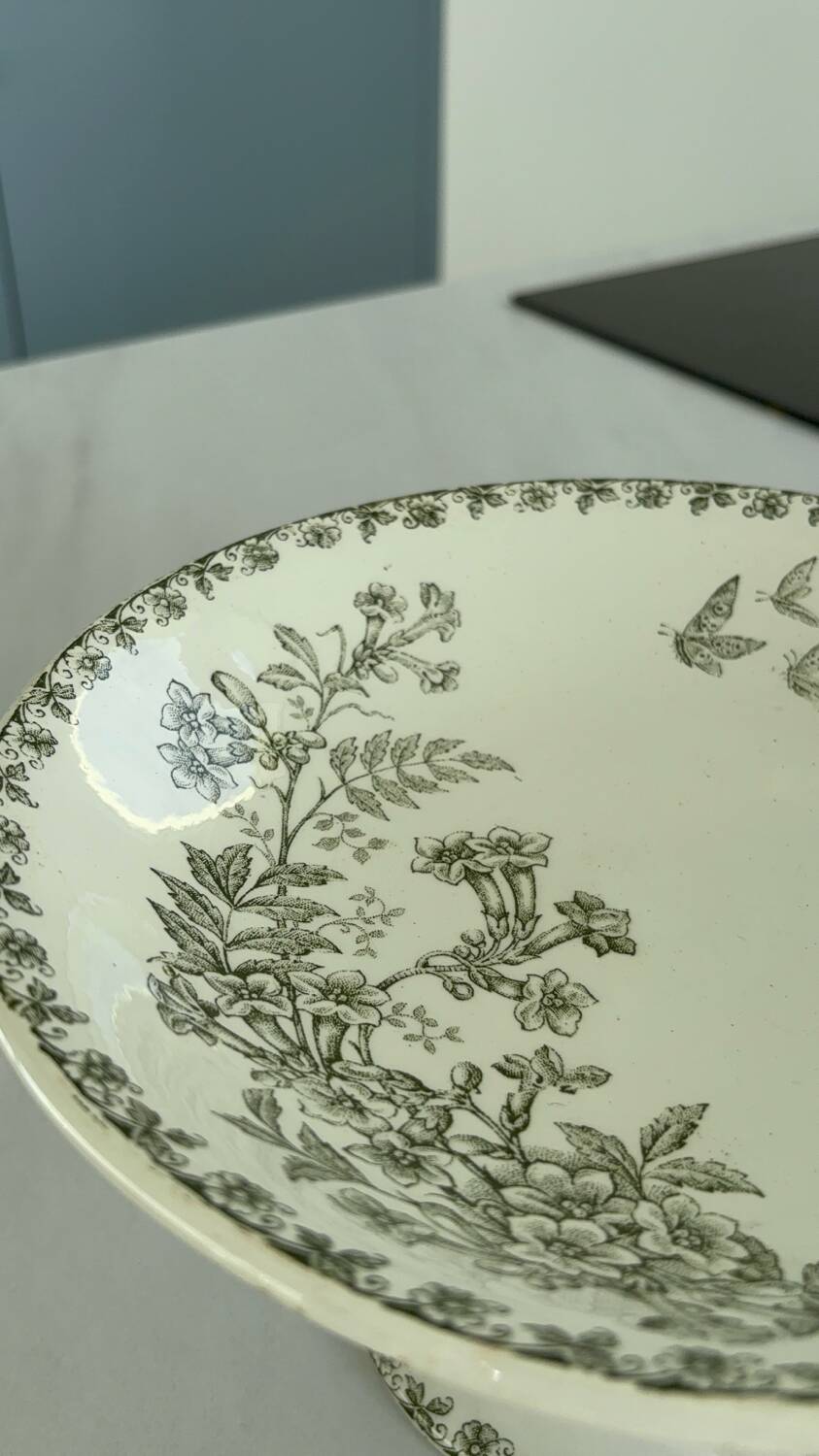 French ironstone fruit bowl, St Amand, Denise model