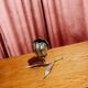 Vintage brass flower ashtray with removable petals.