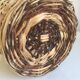 Demijohn old dress in vintage rattan